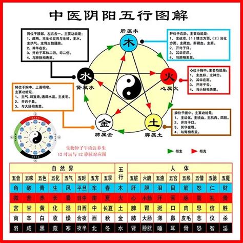 五行 五味|史上最全：中医五行、五脏、五味、五色、五官、五情、五季、五。